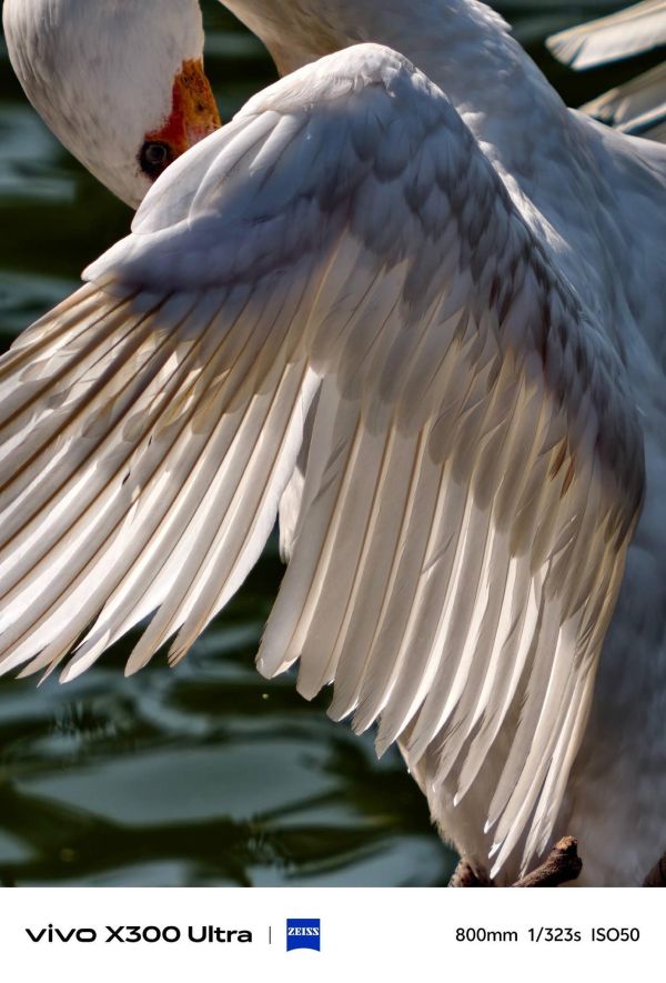 【預購定金】x300 Ultra 全焦段觀演神器 最佳旅行攝影手機 