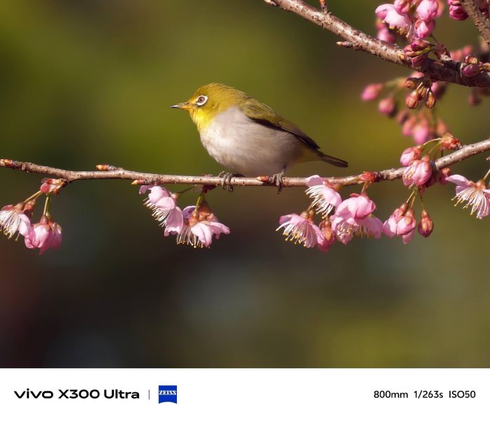 【預購定金】x300 Ultra 全焦段觀演神器 最佳旅行攝影手機 