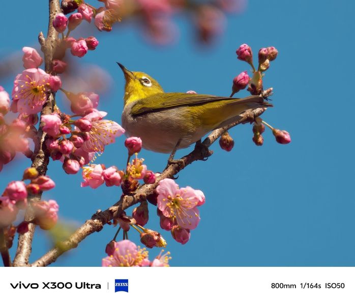 【預購定金】x300 Ultra 全焦段觀演神器 最佳旅行攝影手機 