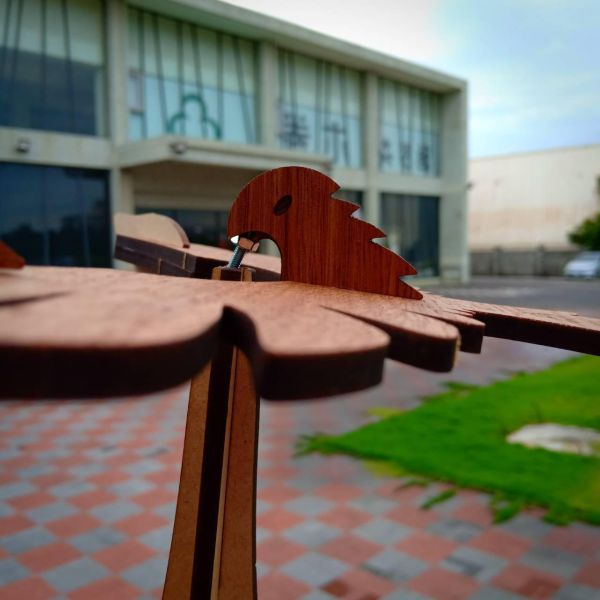 【現貨】卷木森活館【平衡老鷹】大展鴻圖 DIY 組裝 木製玩具 模型 動手做 兒童玩具 益智 科學玩具 桌遊 畢業禮物 