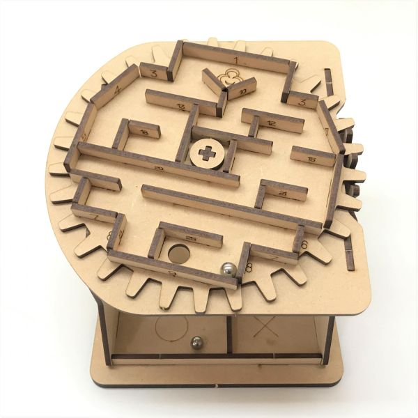 【全館現貨】卷木森活館【旋轉迷宮】DIY 組裝 木製玩具 模型 動手做 兒童玩具 益智 