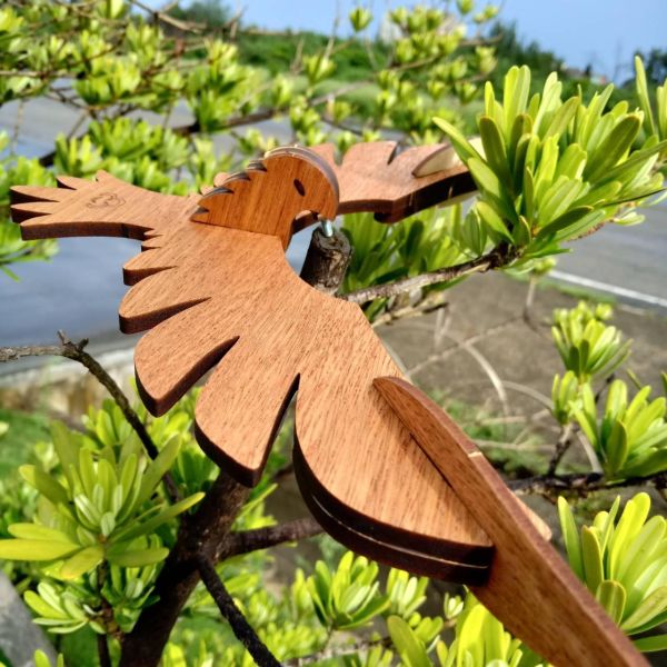 【現貨】卷木森活館【平衡老鷹】大展鴻圖 DIY 組裝 木製玩具 模型 動手做 兒童玩具 益智 科學玩具 桌遊 畢業禮物 