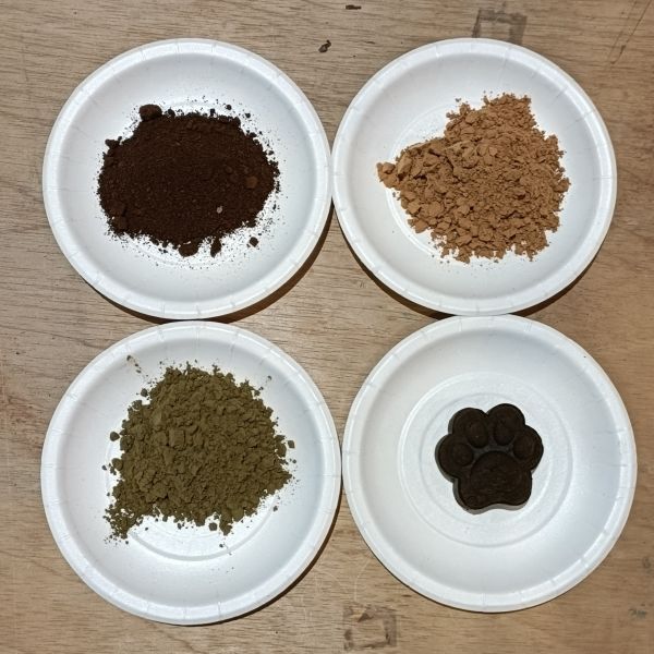 永續教育︱回收咖啡渣除味錠 回收咖啡渣除味錠,咖啡渣再利用,ESG 永續體驗活動,循環經濟生活用品,企業永續行動案例,環境教育手作體驗,有機廢棄物再生