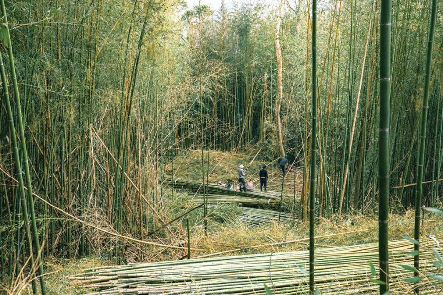 永續教育︱竹邊角料竹盤子 竹邊角料再利用,竹杯墊手作體驗,循環經濟教育課程,ESG 永續手作活動,永續材料設計,企業永續體驗方案,資源不浪費生活提案
