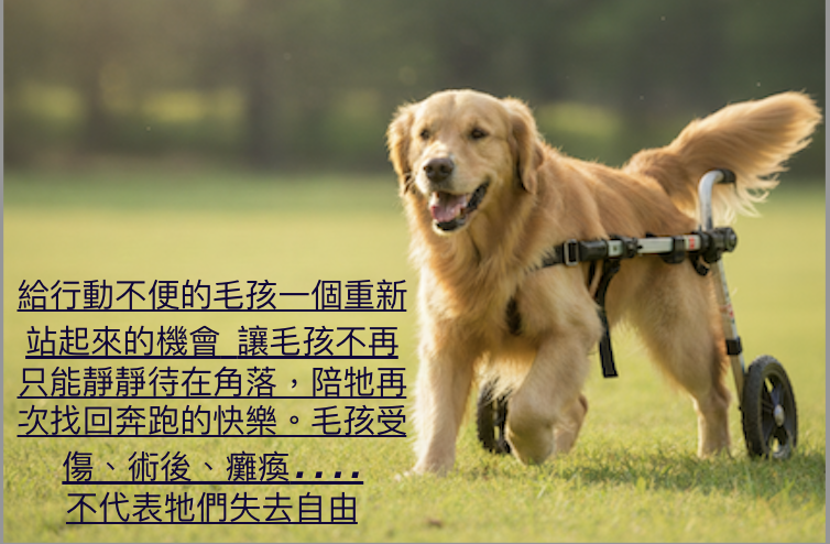 租賃輔具方案 - 米町町