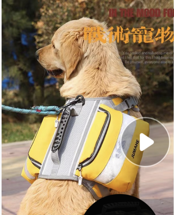 帥帥外出包 可收納零食｜便便袋｜小物｜狗狗帥氣