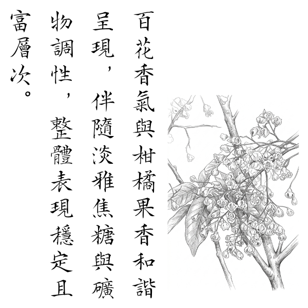 063 番路春 2026 無加工蜂蜜,歐盟規範蜂蜜,義崎春,生蜂蜜,友蜂宣言,無加工,蜜蟲分離,自然熟成