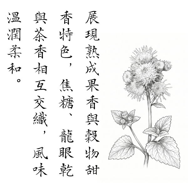 056 宏華春 2026 無加工蜂蜜,歐盟規範蜂蜜,義崎春,生蜂蜜,友蜂宣言,無加工,蜜蟲分離,自然熟成