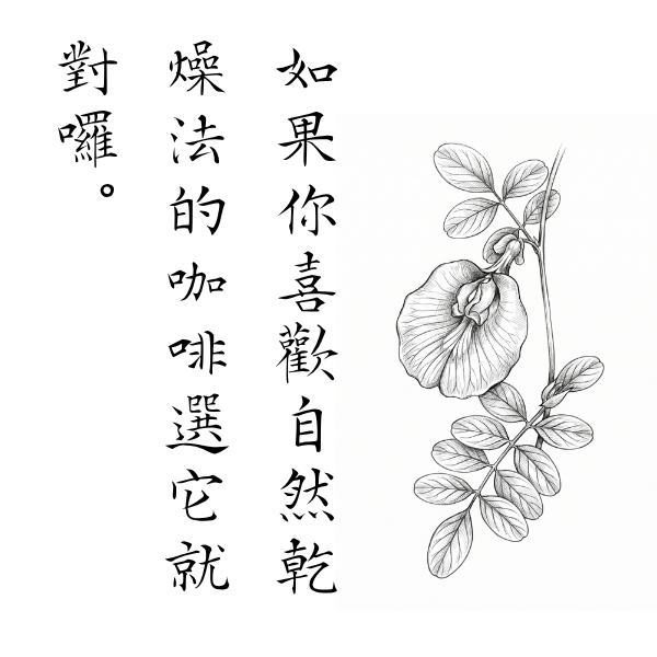 073 和館夏 2026 無加工蜂蜜,歐盟規範蜂蜜,義崎春,生蜂蜜,友蜂宣言,無加工,蜜蟲分離,自然熟成