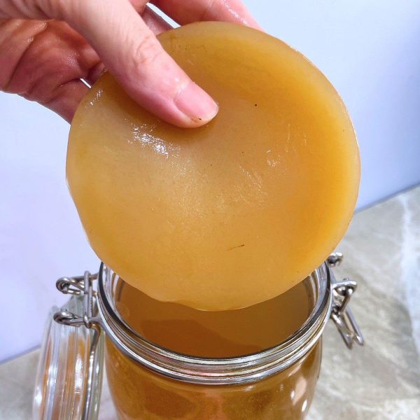 發酵研究室｜夏日微氣泡發酵：康普茶手作課 Fermentation laboratory | Kombucha Brewing Workshop 康普茶、Kombucha、發酵飲、康普茶手作、發酵課程、SCOBY、居家發酵、健康飲品、益生菌飲品、發酵研究室、台北手作課程、健康飲食、發酵文化