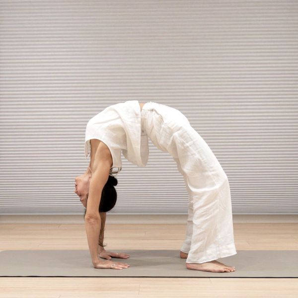 後彎瑜伽初階課程-打開心輪能量 Backbend Yoga for Beginners-Open Your Heart Chakra 