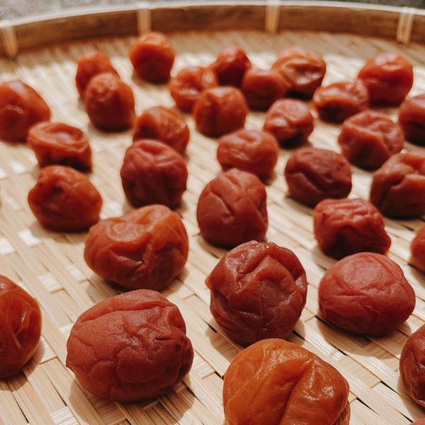 【春季限定】發酵研究室-梅好時光 Fermentation laboratory-Preserving Plums in Season 