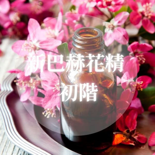 2026年 新巴赫花精初階班 