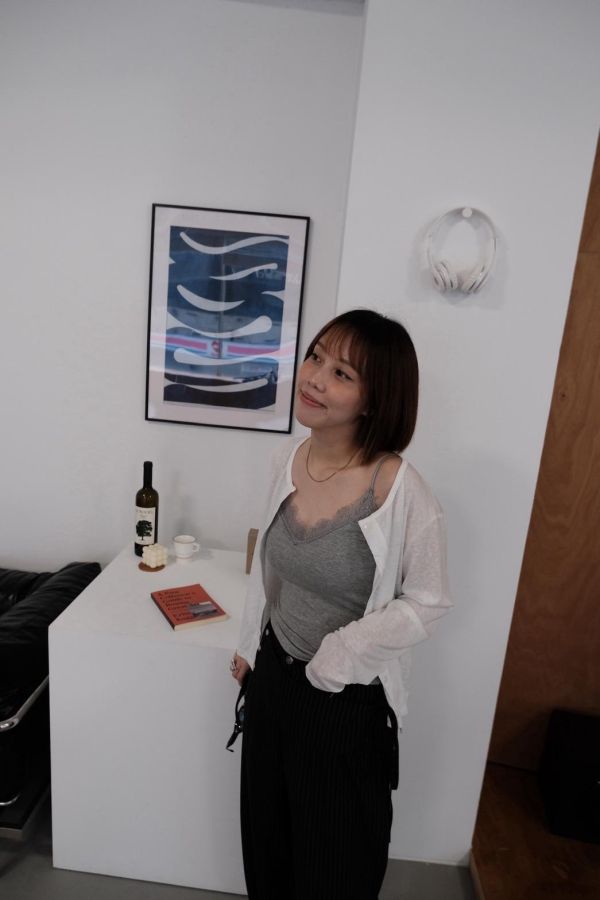 薄霧透感罩衫 
