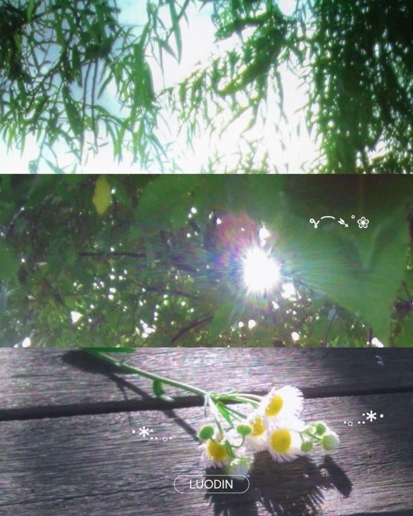 Luodin 復古CCD相機 