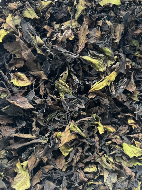 野放紅玉白茶/手採 50g 野放茶 白茶
