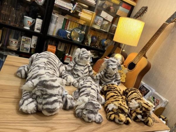 藍眼雪虎 jELLYCAT Sacha Snow Tiger 21 Little JELLYCAT SACHA SNOW TIGER