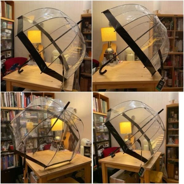 撐著傘 看雨滴 銀色 FULTON 鳥籠傘 英國皇室御用 Fulton Birdcage Umbrella 可刷卡分24期 英國直送 正品 Fulton Birdcage Umbrella