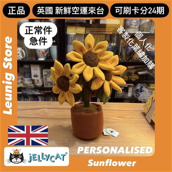龜背芋 jELLYCAT Amuseables Monstera Plant 43 植物 盆栽 jELLYCAT Amuseables Monstera Plant