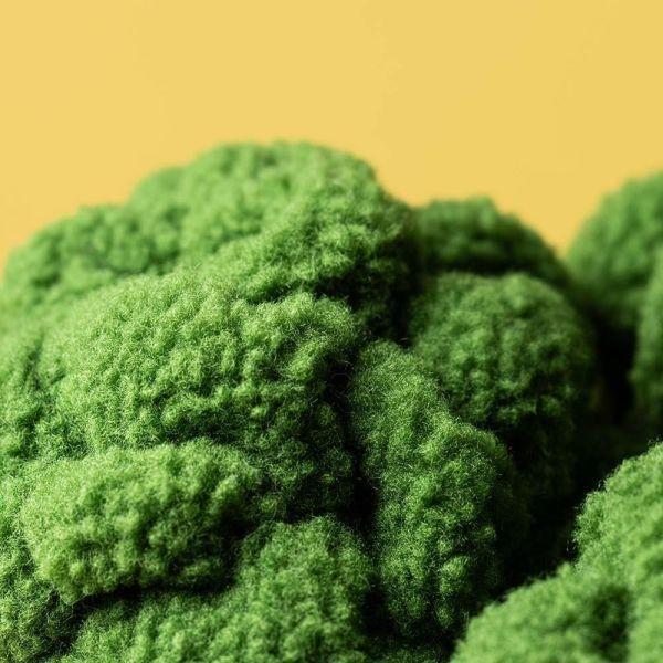 綠花椰菜 jELLYCAT Vivacious Vegetable Broccoli 16 jELLYCAT Vivacious Vegetable Broccoli