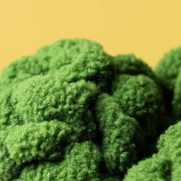 綠花椰菜 jELLYCAT Broccoli Amuseables 24 JELLYCAT AMUSEABLES BROCCOLI