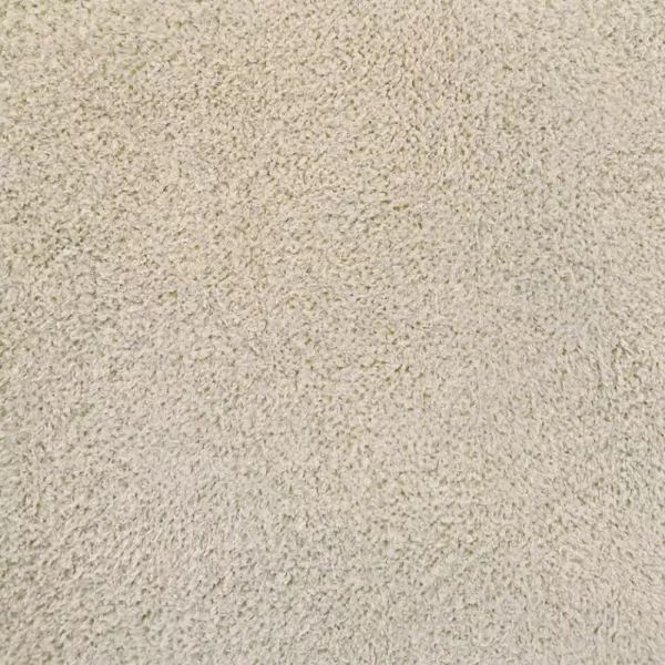 Coody 5.8 室內防滑地毯 