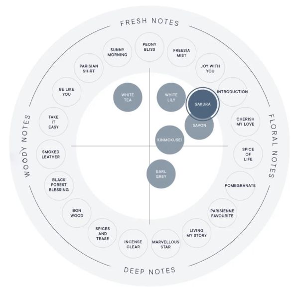 SHIRO淡香水｜2026櫻花限定香 