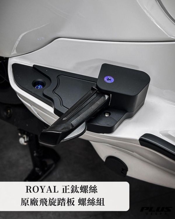 台灣製 ROYAL 正鈦螺絲 飛旋踏板 螺絲組 鈦紫色 帝王黑 土豪金 