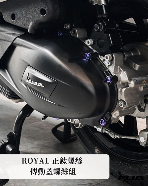 台灣製 ROYAL 正鈦螺絲 傳動蓋 螺絲組 鈦紫色 帝王黑 土豪金 