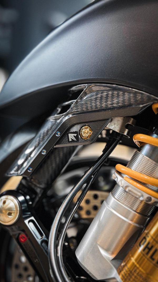 APEXX 碳纖維前叉護蓋 卡夢 鍛造 vespa 衝刺 春天 LX 偉士牌 