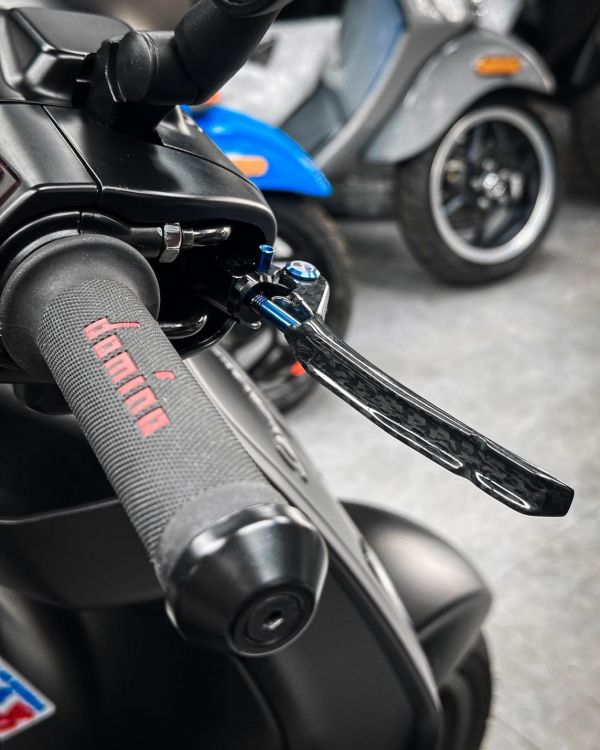 APEXX 煞車拉桿 碳纖維版本 卡夢 衝刺 春天 LX 