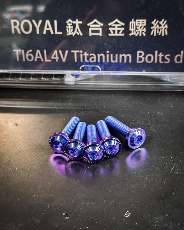 台灣製 ROYAL 正鈦螺絲 前輪框 螺絲組 鈦紫色 帝王黑 土豪金 