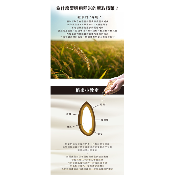 薏仁白麝香喚白米皂 200g 薏仁白麝香喚白米皂,薏仁米皂推薦,白麝香香皂推薦,喚白米皂,米皂推薦,薏仁萃取保養,白麝香香氛皂,保濕米皂,亮白香皂推薦,維他命B3保養,維他命B5保養,維他命E保養,玻尿酸香皂,米胚芽油香皂,稻米精華香皂,天然植萃香皂,保濕潔膚皂,香氛香皂推薦,全身沐浴皂,洗澡香皂推薦,柔嫩肌膚保養,透亮肌膚保養,低敏潔膚皂,天然手工皂推薦,白麝香保養,身體清潔用品,香水皂推薦,AVENUE艾馥洣,艾馥洣米皂,