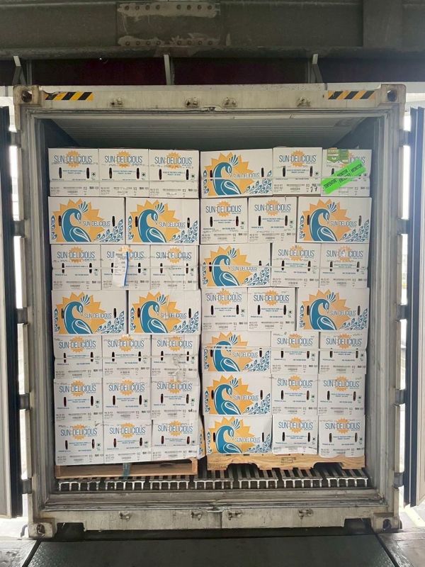 美國富士蘋果 美國富士蘋果, 富士蘋果, 蘋果