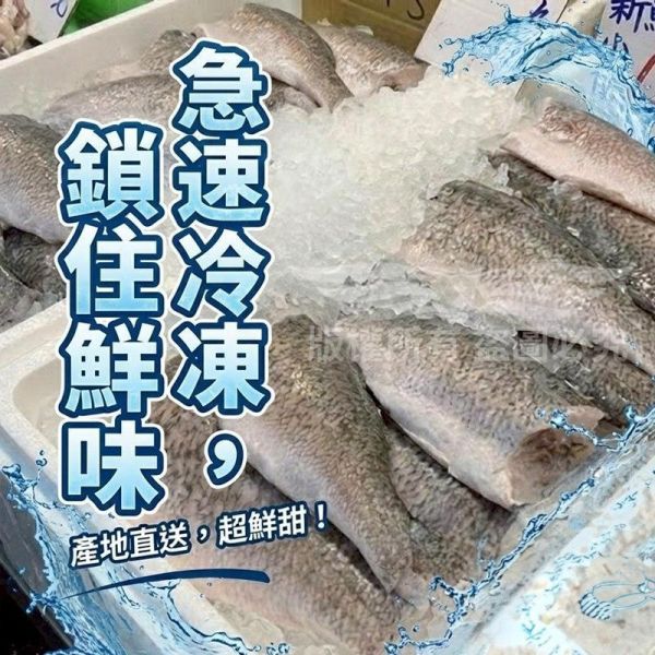 鱸魚片 鱸魚片, 鱸魚菲力, 冷凍魚片, 無次魚片