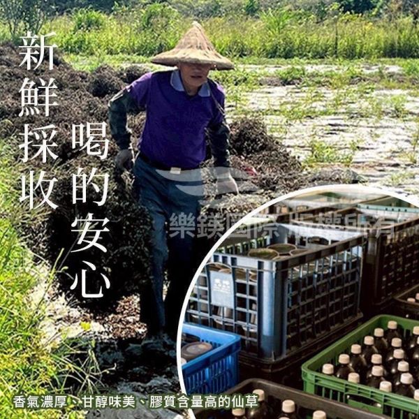 30年關西老徐家仙草茶 關西老徐家仙草茶,老徐家仙草茶,青草茶,仙草茶,老徐家青草茶