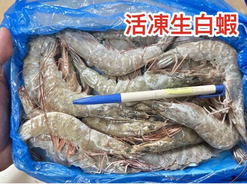 超級大規格活凍大白蝦 活凍大白蝦, 巴拿馬白蝦, 冷凍大白蝦, 大鮮蝦, 鮮蝦