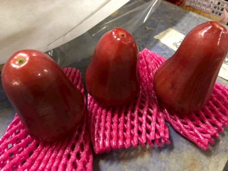 屏東蜜風鈴蓮霧 屏東蜜風鈴蓮霧, 蓮霧, 屏東