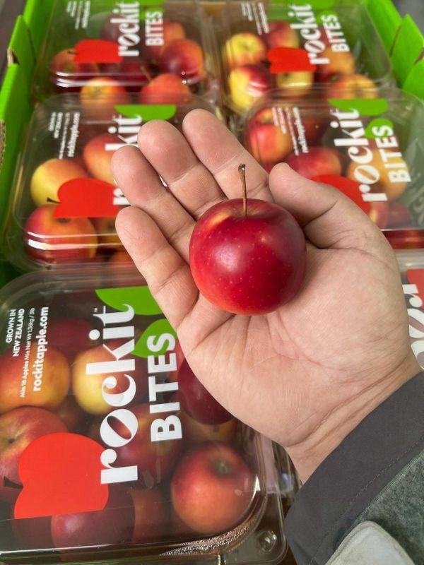 紐西蘭樂淇蘋果｜家庭號 紐西蘭樂淇蘋果,樂淇蘋果,紐西蘭蘋果,蘋果