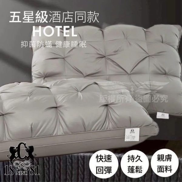 1881扭花立體石墨烯枕 扭花立體石墨烯枕, 石墨烯羽絲棉, 石墨烯枕頭