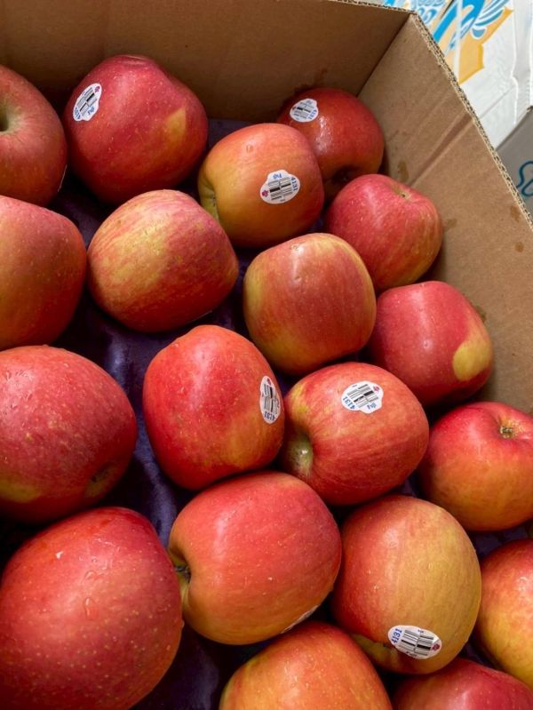 美國富士蘋果 美國富士蘋果, 富士蘋果, 蘋果