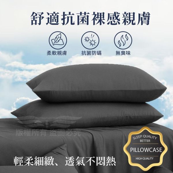 德國魯道夫抗菌玩色防水枕頭套 