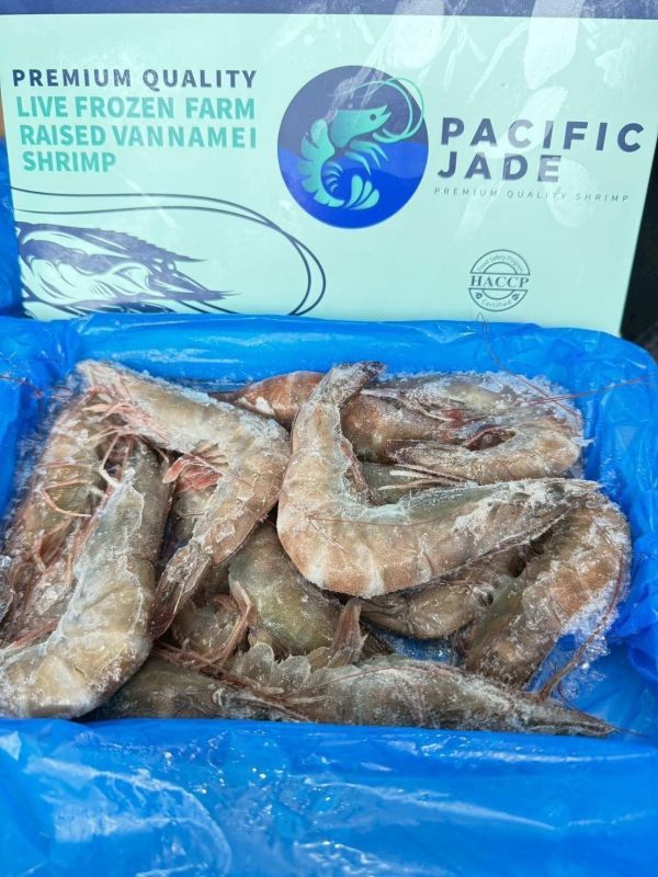 翡翠活凍大白蝦600g<30/40> 