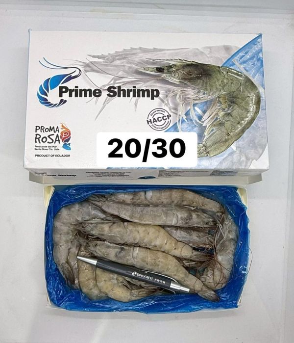 PR活凍大白蝦 