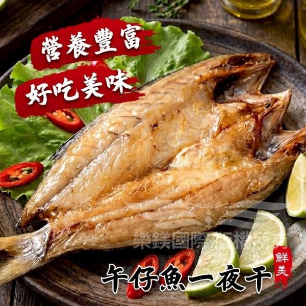 午仔魚一夜干 午仔魚一夜干, 午仔魚, 一夜干, 魚片, 冷凍魚片, 無刺魚片