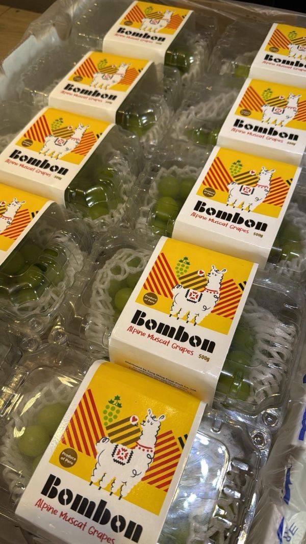 駝牌秘魯麝香葡萄 麝香葡萄, 葡萄, 駝牌, 祕魯葡萄