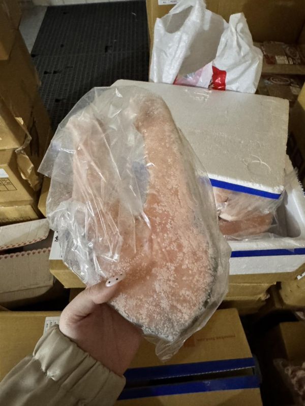 智利鮭魚切片 智利鮭魚切片