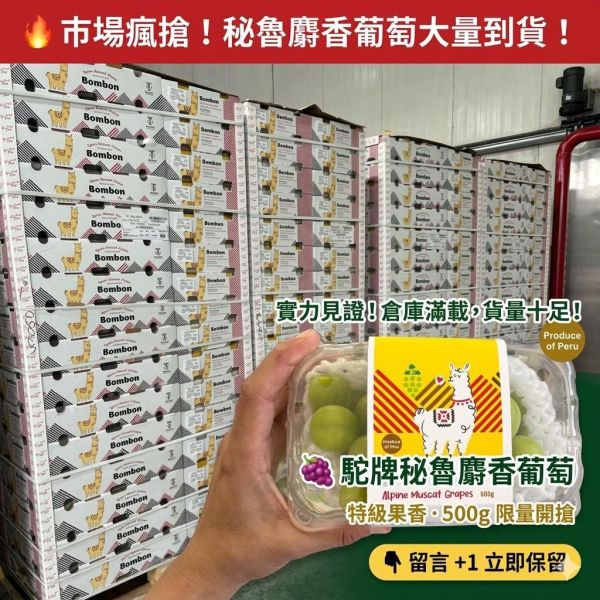駝牌秘魯麝香葡萄 麝香葡萄, 葡萄, 駝牌, 祕魯葡萄