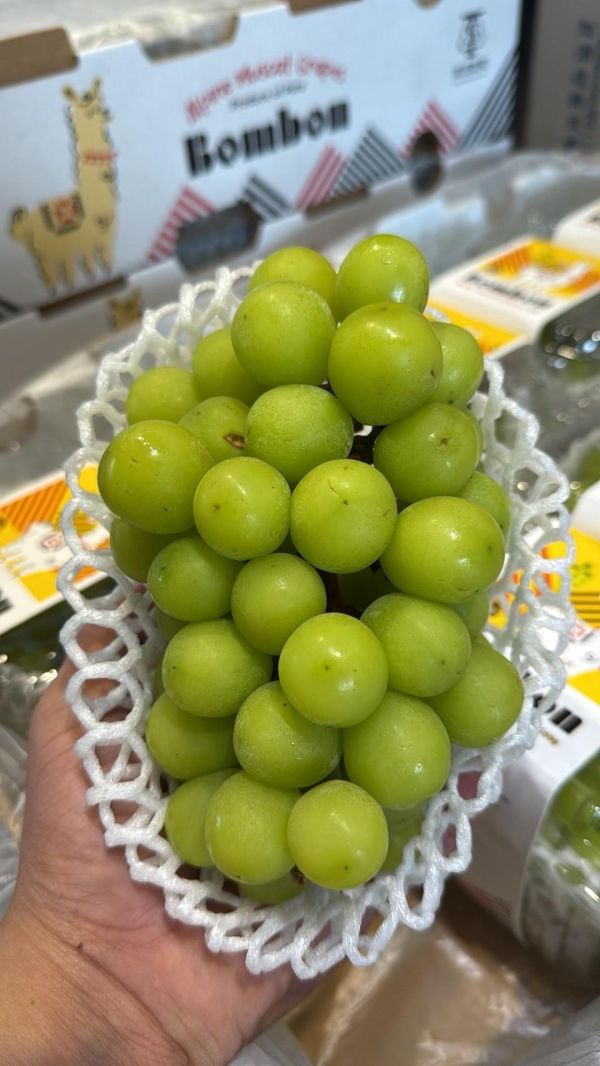 駝牌秘魯麝香葡萄 麝香葡萄, 葡萄, 駝牌, 祕魯葡萄