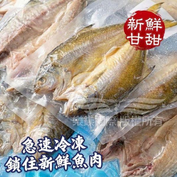 午仔魚一夜干 午仔魚一夜干, 午仔魚, 一夜干, 魚片, 冷凍魚片, 無刺魚片